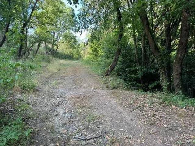 Terreno in vendita a San Felice, Sessa Aurunca
