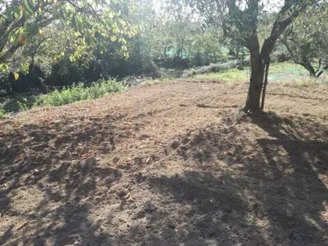 Terreno in vendita a Sessa Aurunca, Campania