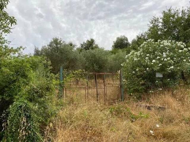 Terreno in vendita a Sessa Aurunca, Campania