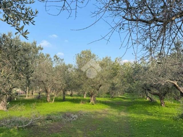 Terreno in vendita a Avezzano-Sorbello, Sessa Aurunca