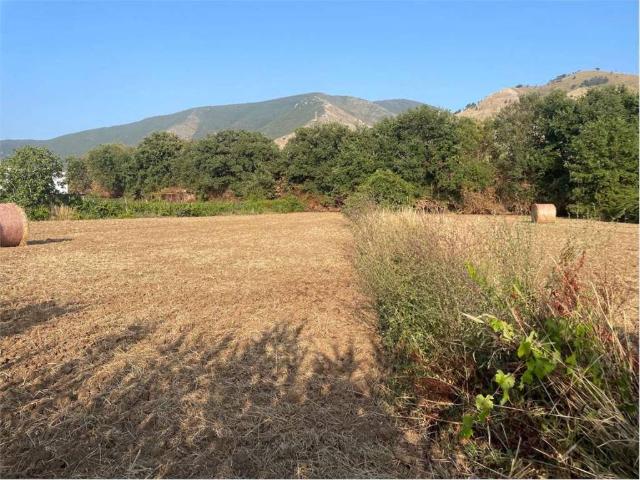 Terreno in vendita a Sessa Aurunca, Campania