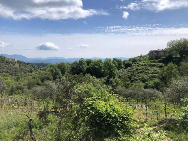 Terreno in vendita a Sessa Cilento, Campania