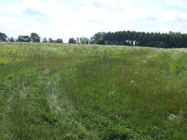 Terreno in vendita a Sesto Al Reghena, Friuli-Venezia Giulia