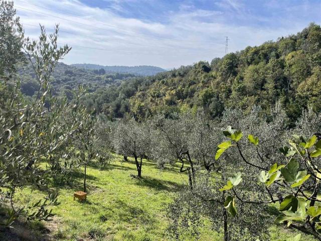 Terreno in vendita a Sesto Fiorentino, Toscana