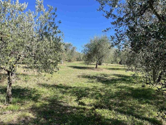 Terreno in vendita a Sesto Fiorentino, Toscana