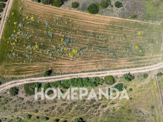 Terreno in vendita a Settimo San Pietro, Sardigna/Sardegna