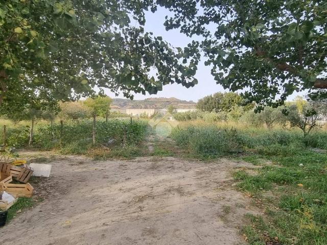 Terreno in vendita a Calabria, Catanzaro
