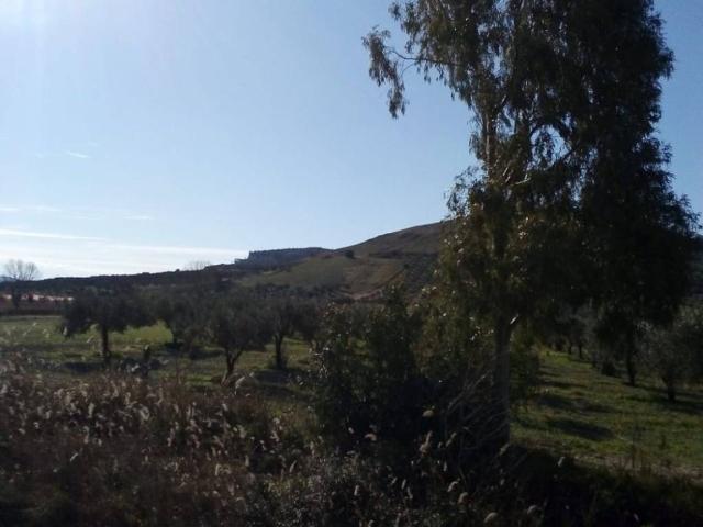 Terreno in vendita a Martelletto, Settingiano