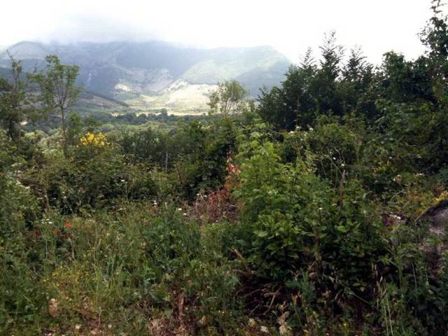 Terreno in vendita a Sezze, Latina