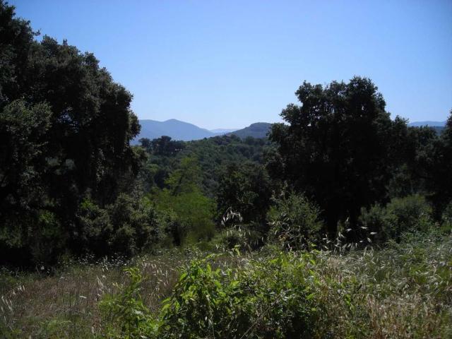 Terreno in vendita a Sezze, Lazio