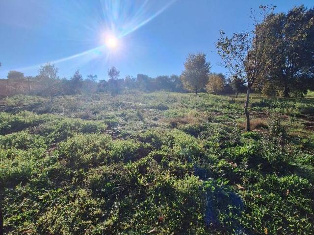 Terreno in vendita a Sezze, Lazio