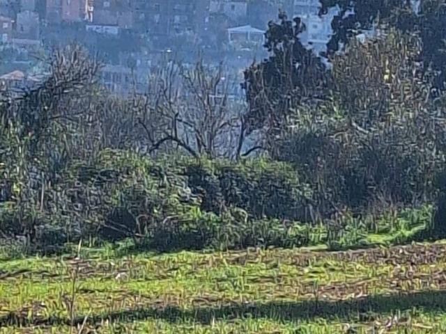 Terreno in vendita a Sezze, Lazio