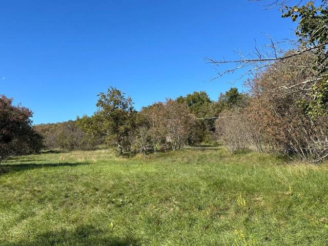 Terreno in vendita a Sgonico, Friuli-Venezia Giulia