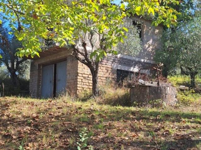 Terreno in vendita a Sgurgola, Frosinone