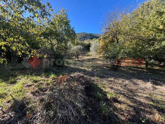 Terreno in vendita a Sgurgola, Lazio