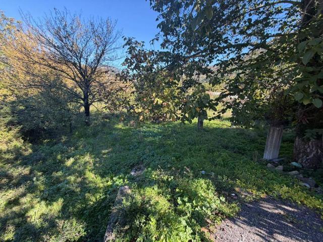 Terreno in vendita a Torello, Castel San Giorgio