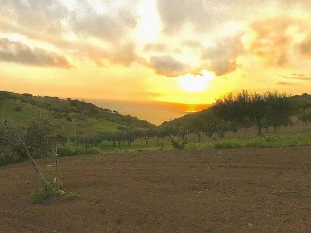 Terreno in vendita a Montallegro, Sicilia