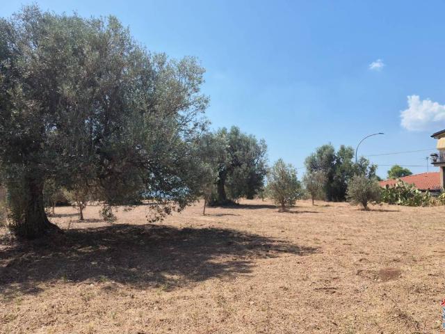 Terreno in vendita a Siderno, Calabria