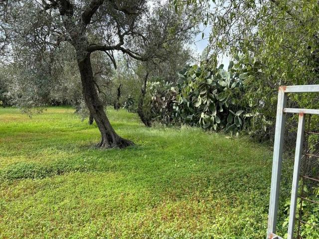 Terreno in vendita a Siderno, Calabria