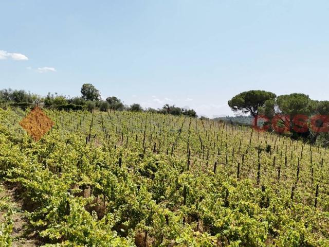 Terreno in vendita a Siena, Toscana