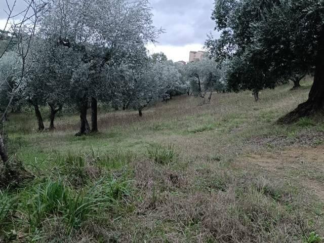 Terreno in vendita a Siena, Toscana
