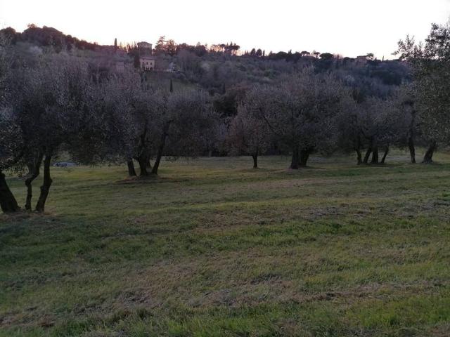 Terreno in vendita a Siena, Toscana