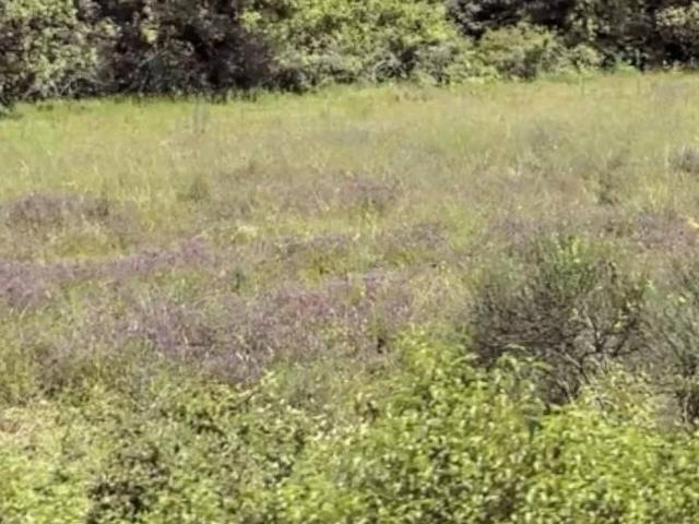 Terreno in vendita a Siena, Toscana
