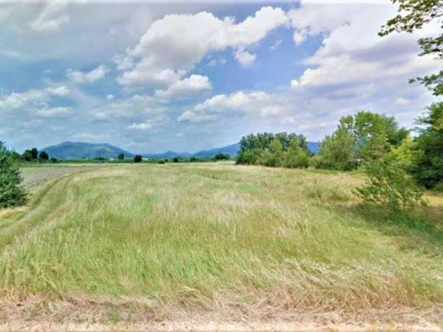 Terreno in vendita a Signa, Toscana