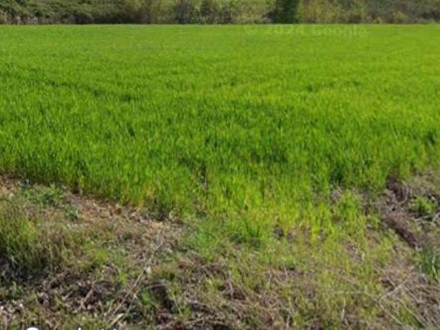 Terreno in vendita a Signa, Toscana