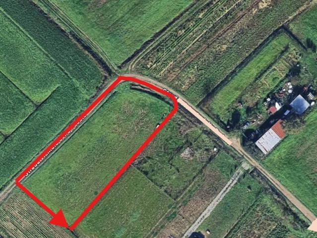 Terreno in vendita a Signa, Toscana