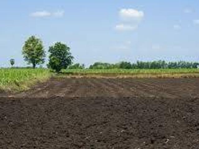 Terreno in vendita a Silea, Veneto