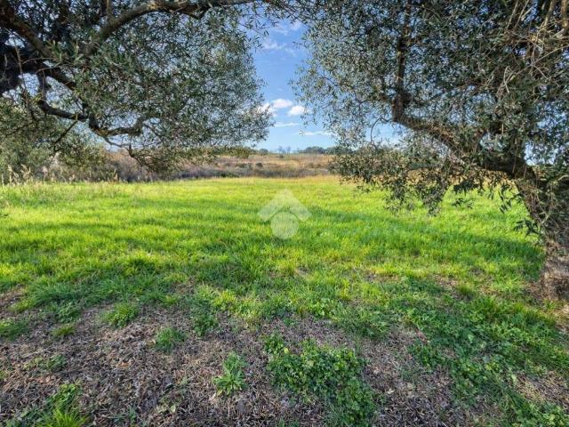 Terreno in vendita a Silvi, Abruzzo