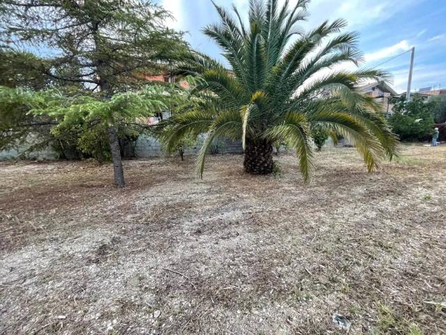 Terreno in vendita a Silvi, Abruzzo