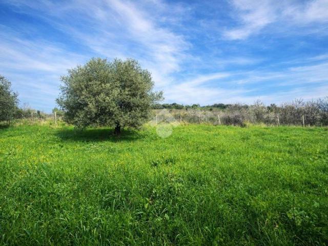 Terreno in vendita a Silvi, Abruzzo