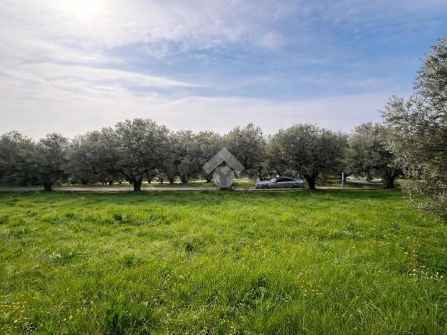 Terreno in vendita a Silvi, Abruzzo