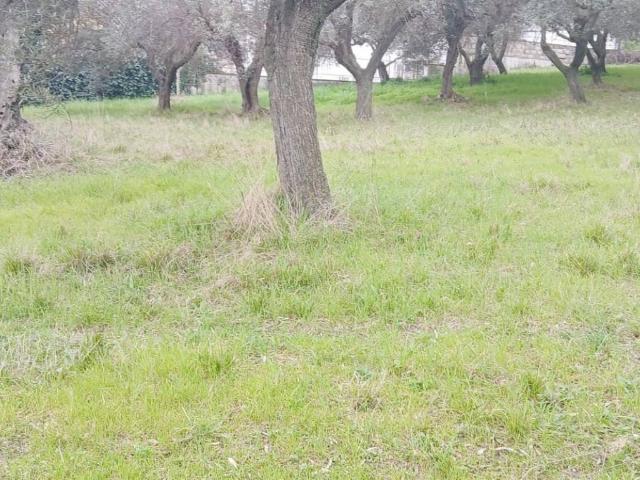 Terreno in vendita a San Silvestre, Silvi