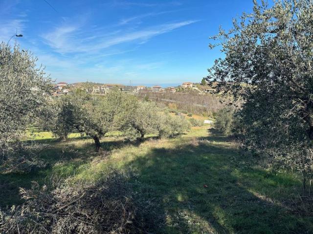 Terreno in vendita a Silvi, Abruzzo