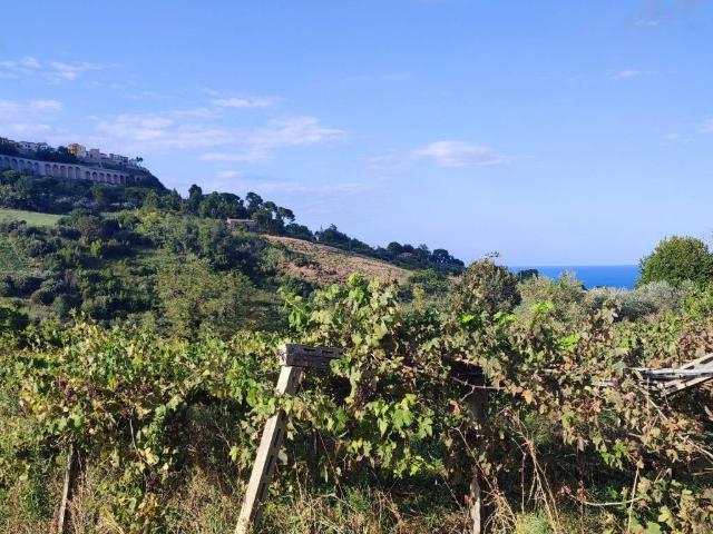 Terreno in vendita a Silvi, Abruzzo