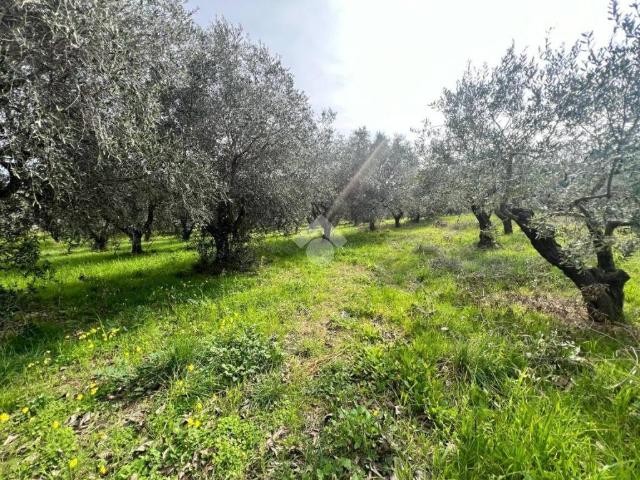 Terreno in vendita a Silvi, Abruzzo