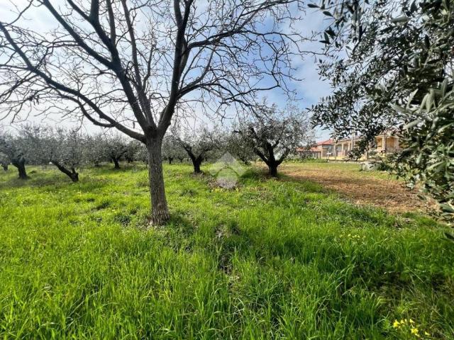 Terreno in vendita a Silvi, Abruzzo