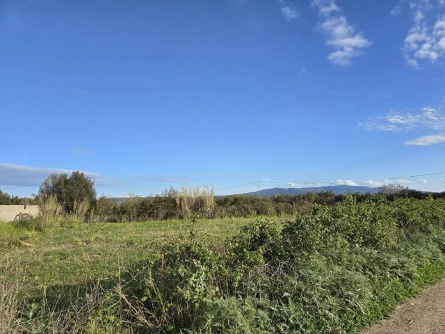 Terreno in vendita a Simaxis, Sardigna/Sardegna