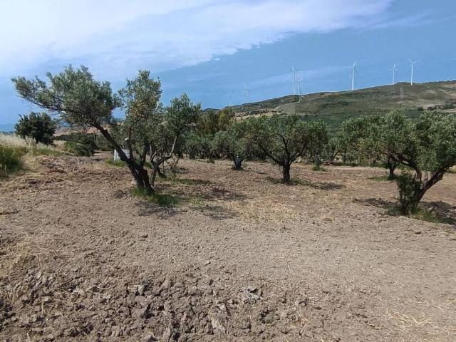 Terreno in vendita a Calabria, Catanzaro