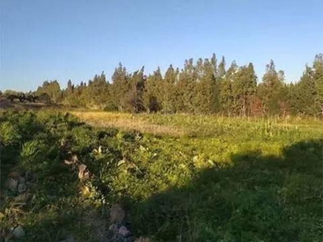 Terreno in vendita a Calabria, Catanzaro