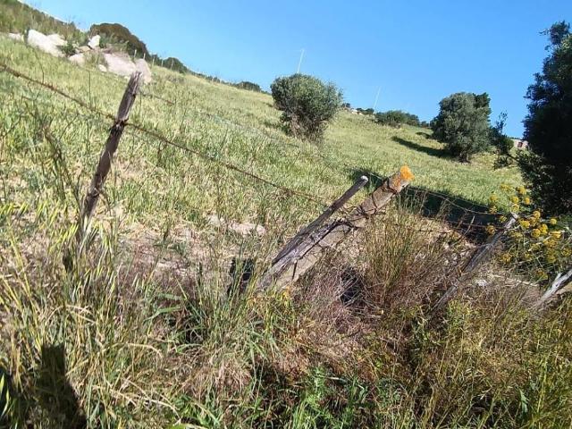 Terreno in vendita a Calabria, Catanzaro