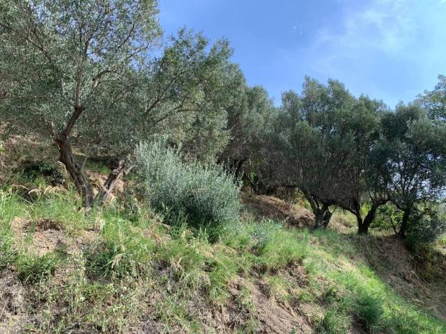 Terreno in vendita a Simeri, Simeri Crichi