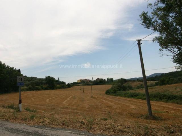 Terreno in vendita a Pieve Di Sinalunga, Toscana