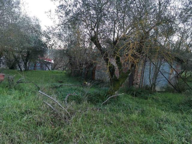 Terreno in vendita a Pieve Di Sinalunga, Toscana