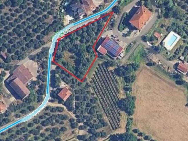 Terreno in vendita a Pieve Di Sinalunga, Toscana