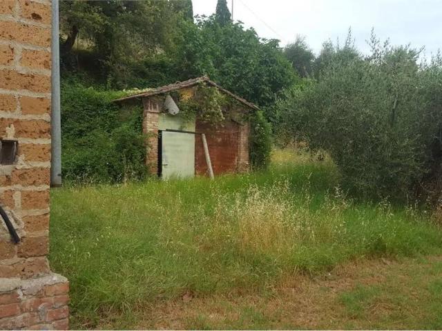 Terreno in vendita a Pieve Di Sinalunga, Toscana