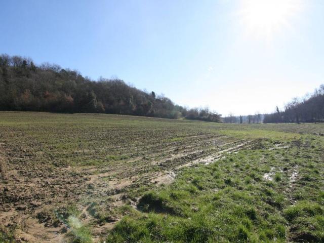 Terreno in vendita a Pieve Di Sinalunga, Toscana